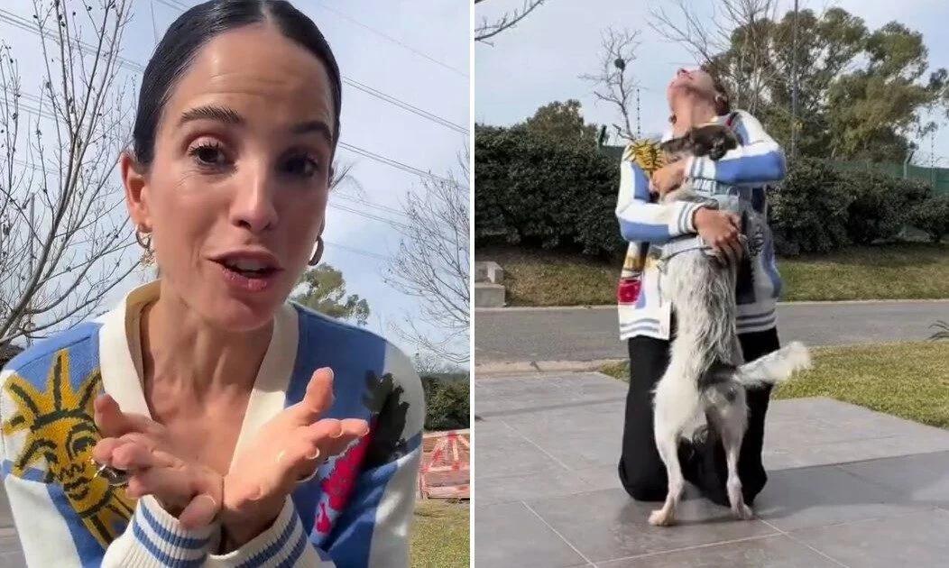 Cande Molfese reveló el sexo de su bebé junto a sus perros