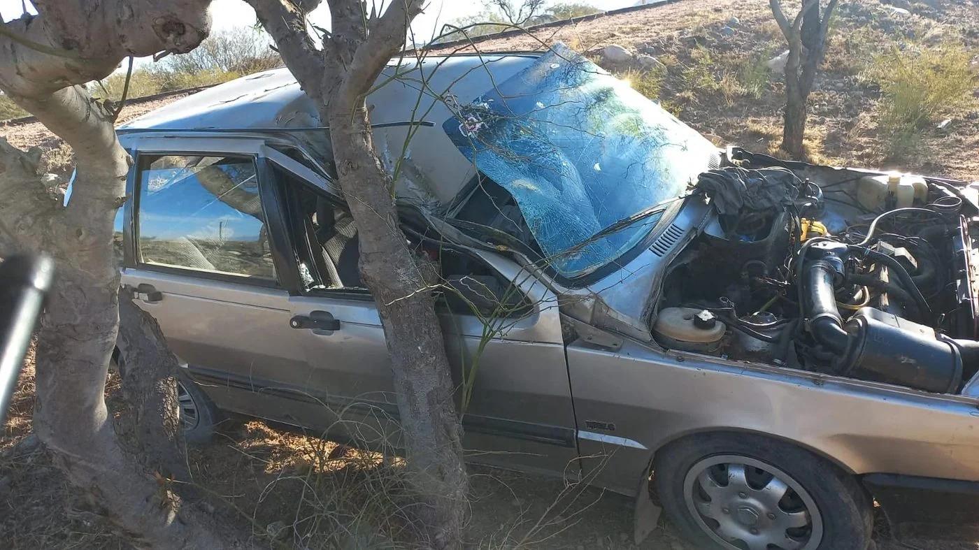 Dos jóvenes hospitalizados tras chocar contra un árbol en Chilecito