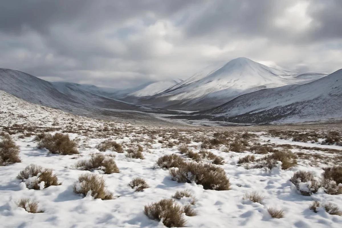 Inusual nevada cubrió el desierto de Atacama, uno de los lugares más secos del p
