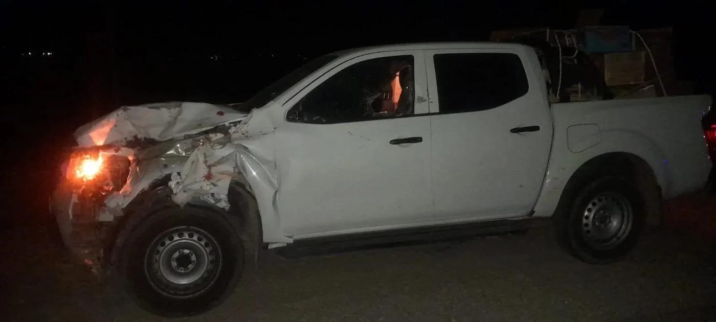 Conductor de una camioneta resultó ileso tras chocar contra un caballo