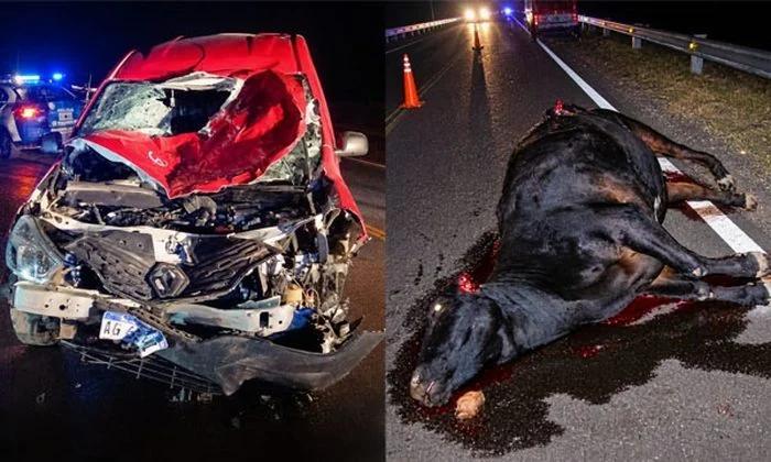 Siniestro vial en Ruta 38: un hombre resultó lesionado tras chocar un animal