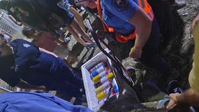 Detenido por venta ilegal de alcohol en el Septiembre Joven