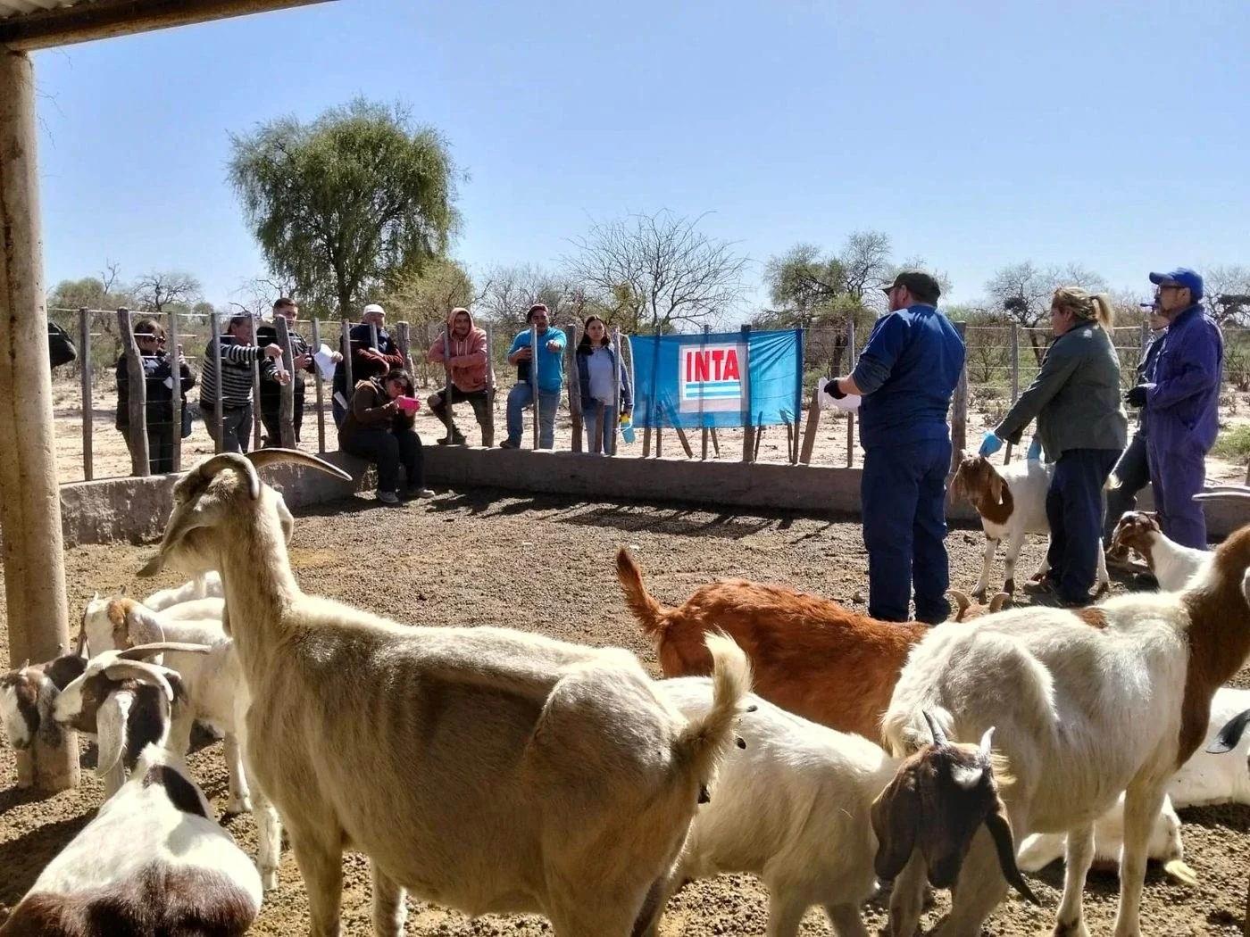 Capacitación para productores caprinos en Los Barrealitos