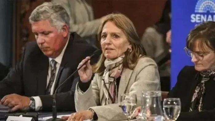 El Senado avanza para eliminar el subsidio por Zona Fría en La Rioja