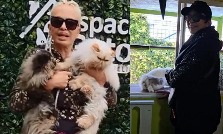 El polémico nombre de la gata de Daniela Cardone