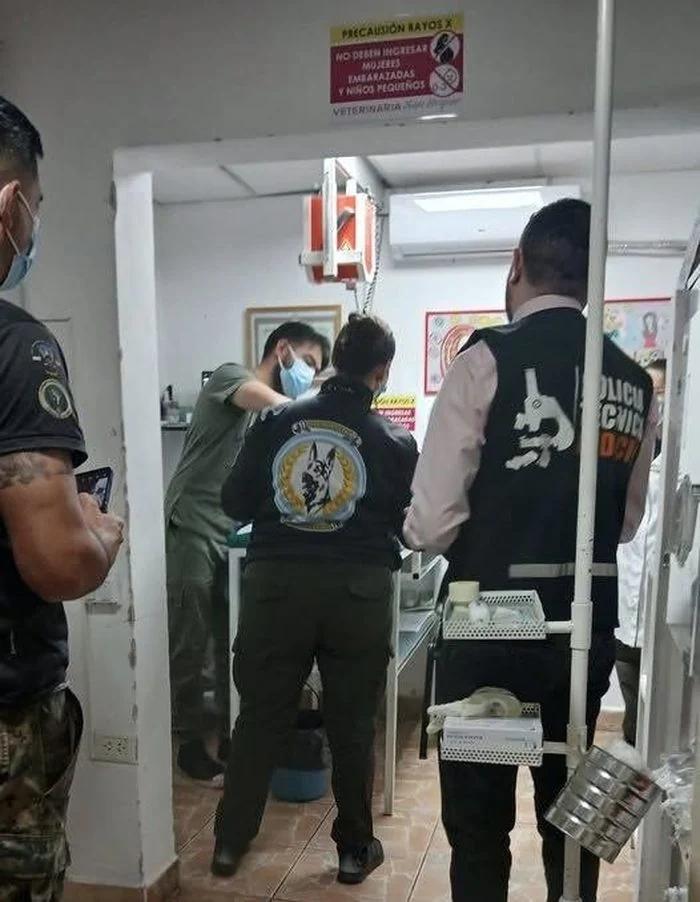 Justicia ordena exhumar un cachorro en Anillaco por caso de maltrato animal