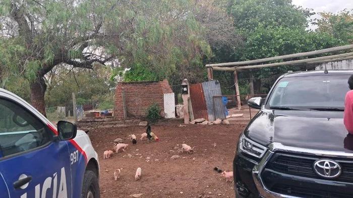 Detenido por violencia de género en el paraje Doña Elena
