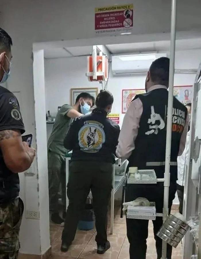 Detuvieron a un hombre por la muerte de un perro en Anillaco
