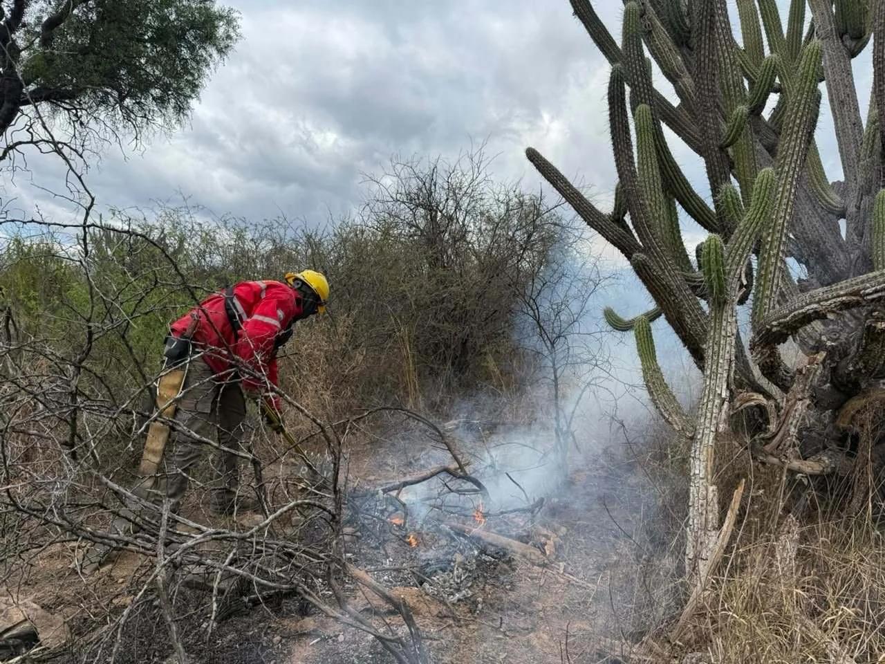 Incendio de pastizales en el barrio Las Talas