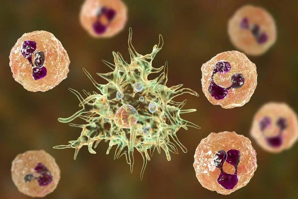 Recomendaciones tras la muerte de un niño por meningoencefalitis en Fiambalá