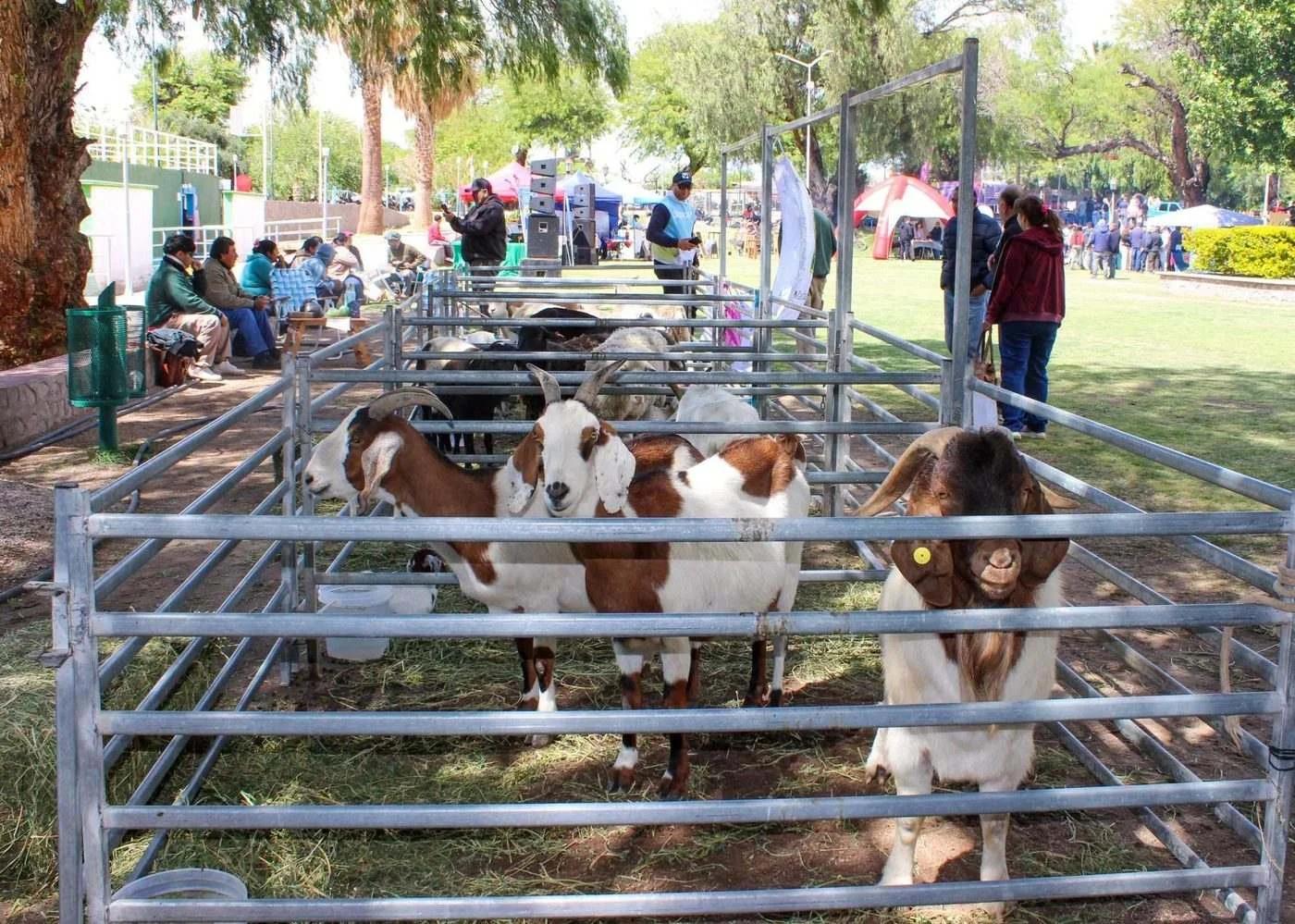 Exitosa segunda Expo Agroganadera en Chamical