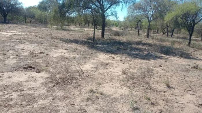 Denuncian usurpación y desmonte ilegal de tierras en Chamical