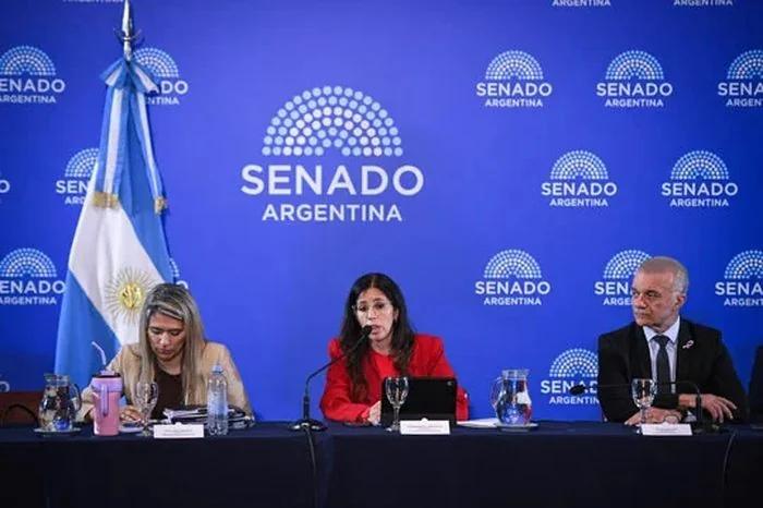 Avanza la reforma de la Ley de Salud Mental en el Senado