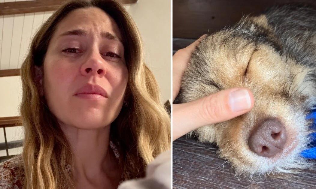 Jimena Baron fue mama de cinco cachorritos