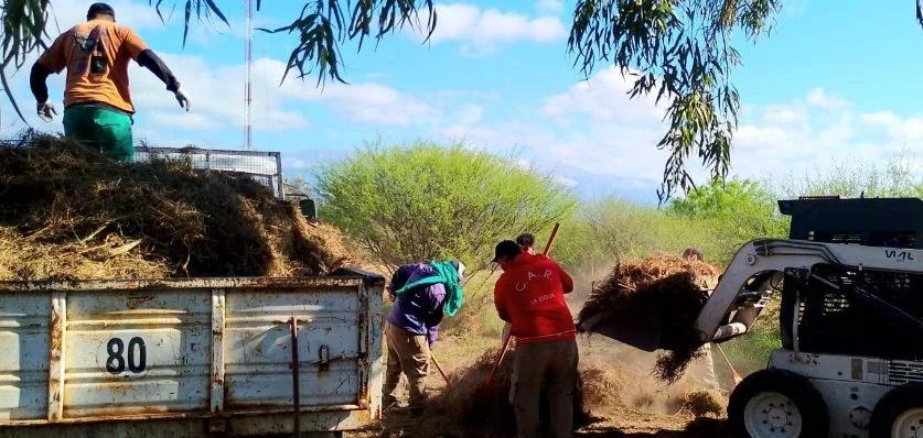 El programa Manzanas Saludables intensifica la prevención del dengue