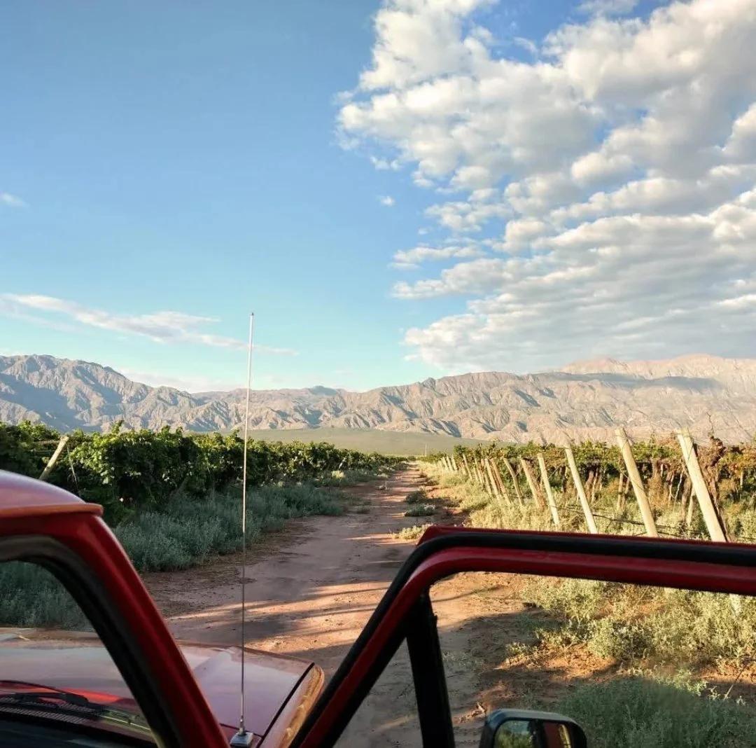 Valle de la Puerta suma un Malbec blanco y un Merlot a su producción