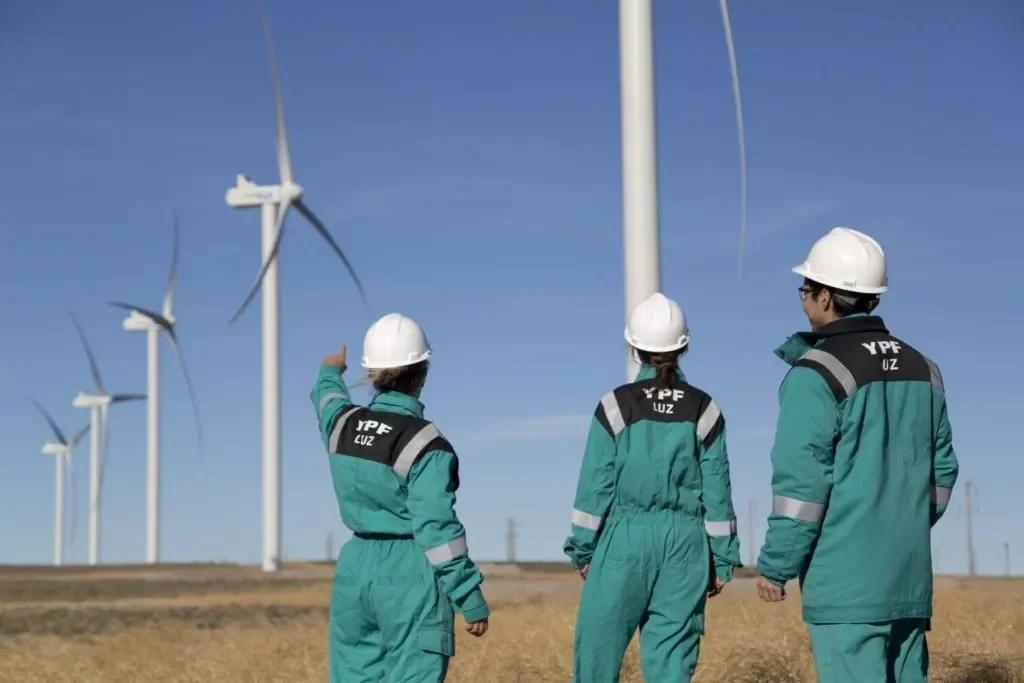 YPF toma el control total de YPF Luz