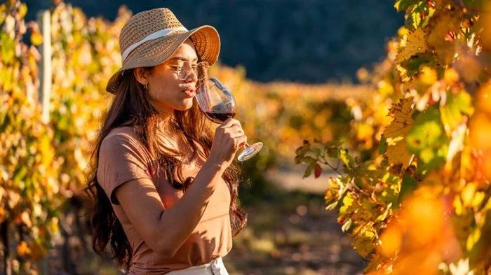 Nuevas salidas del Bus Turístico de la Ruta del Vino
