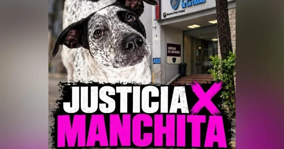 Reclaman justicia por la muerte de una perra en Floresta