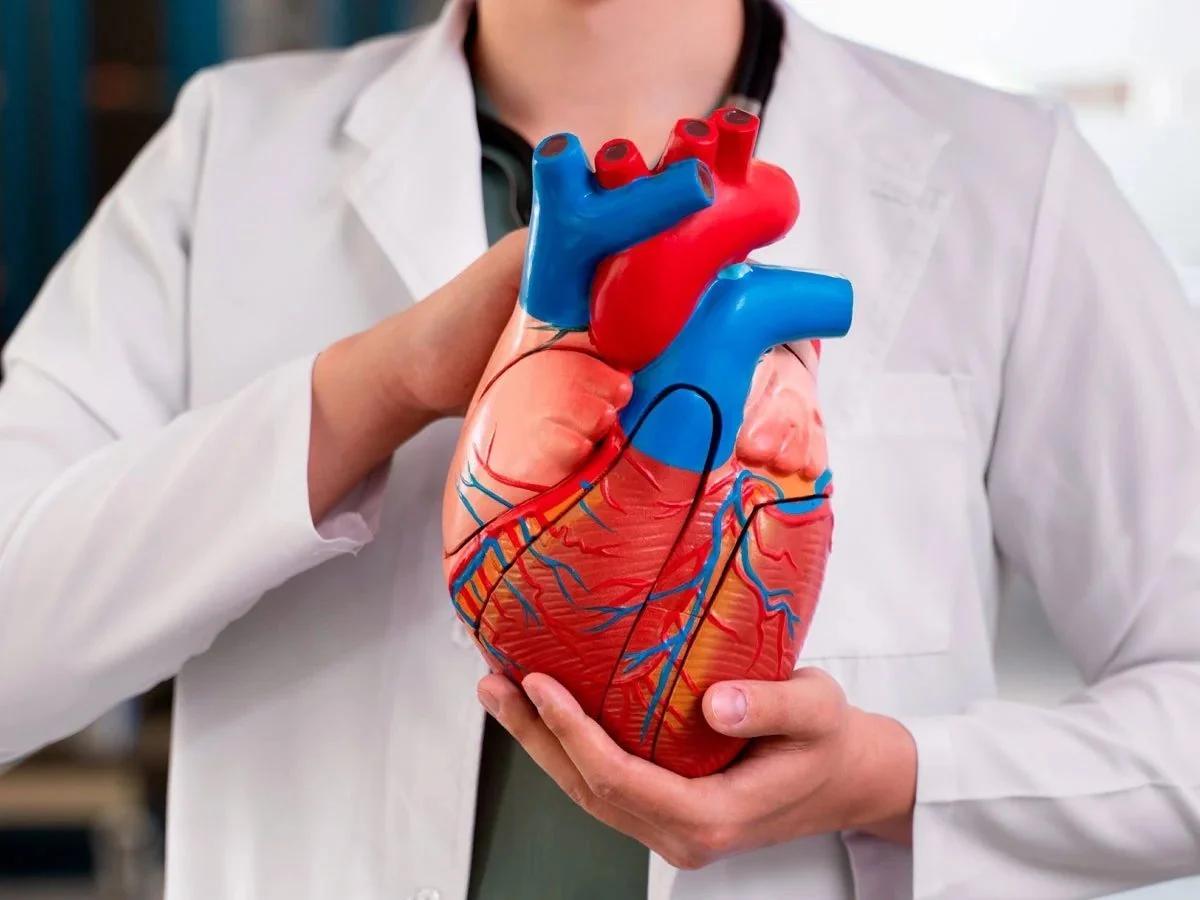 Charla virtual sobre salud cardiovascular y factores ambientales