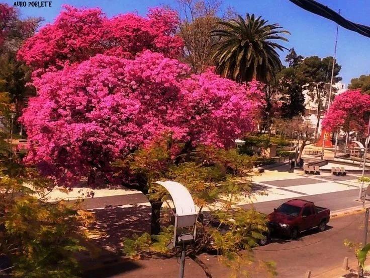 El SMN pronostica para La Rioja una primavera con lluvias por debajo de lo norma