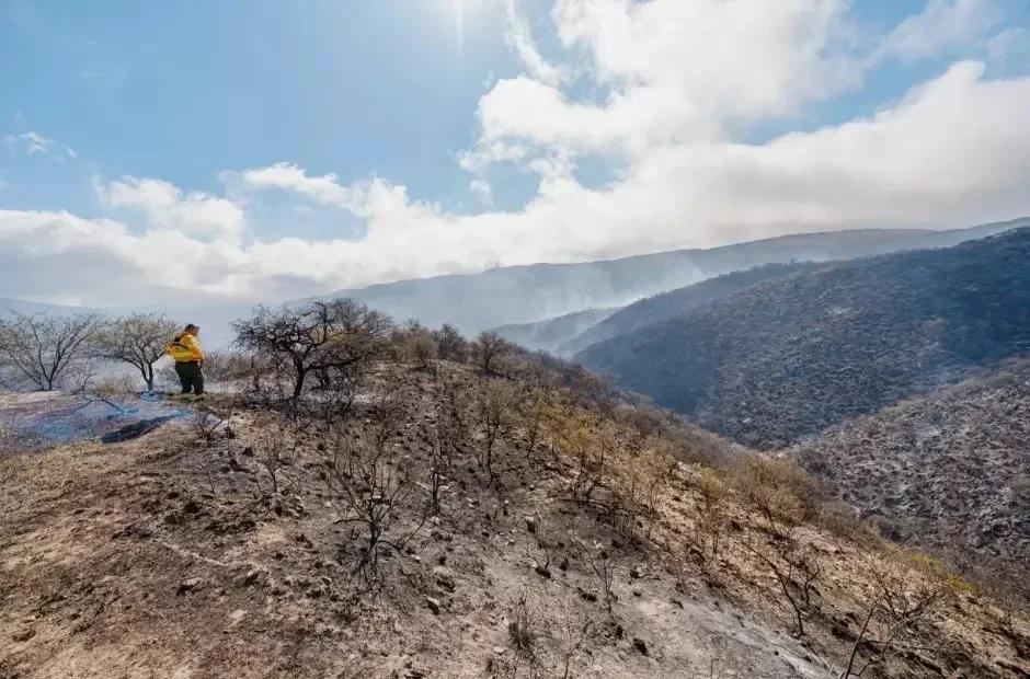 INCENDIO EN EL RODEO: FOCOS ÍGNEOS CONTROLADOS