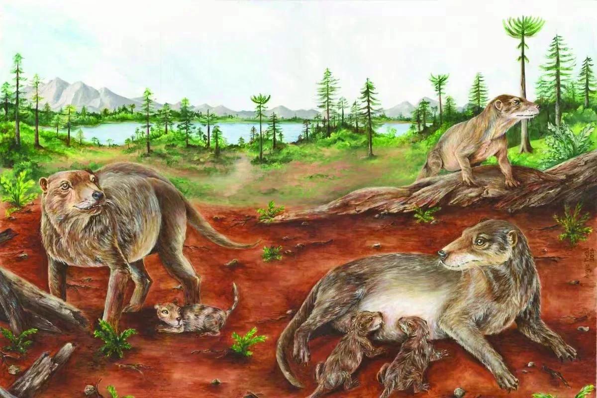 Hallazgo paleontológico en La Rioja revela secretos sobre el origen de la vida