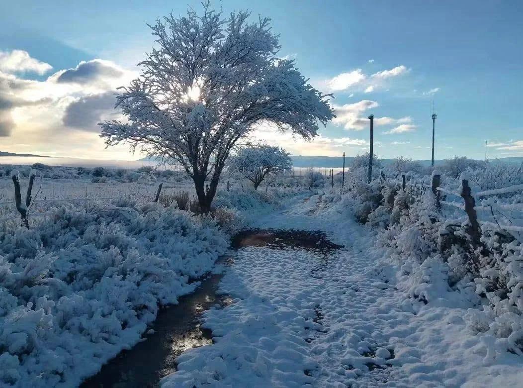El invierno se despide con postales de nieve en Jagüé