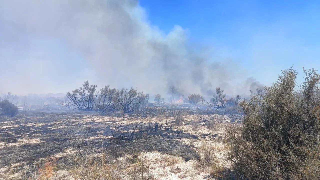 Controlaron un voraz incendio de pastizales en Pagancillo