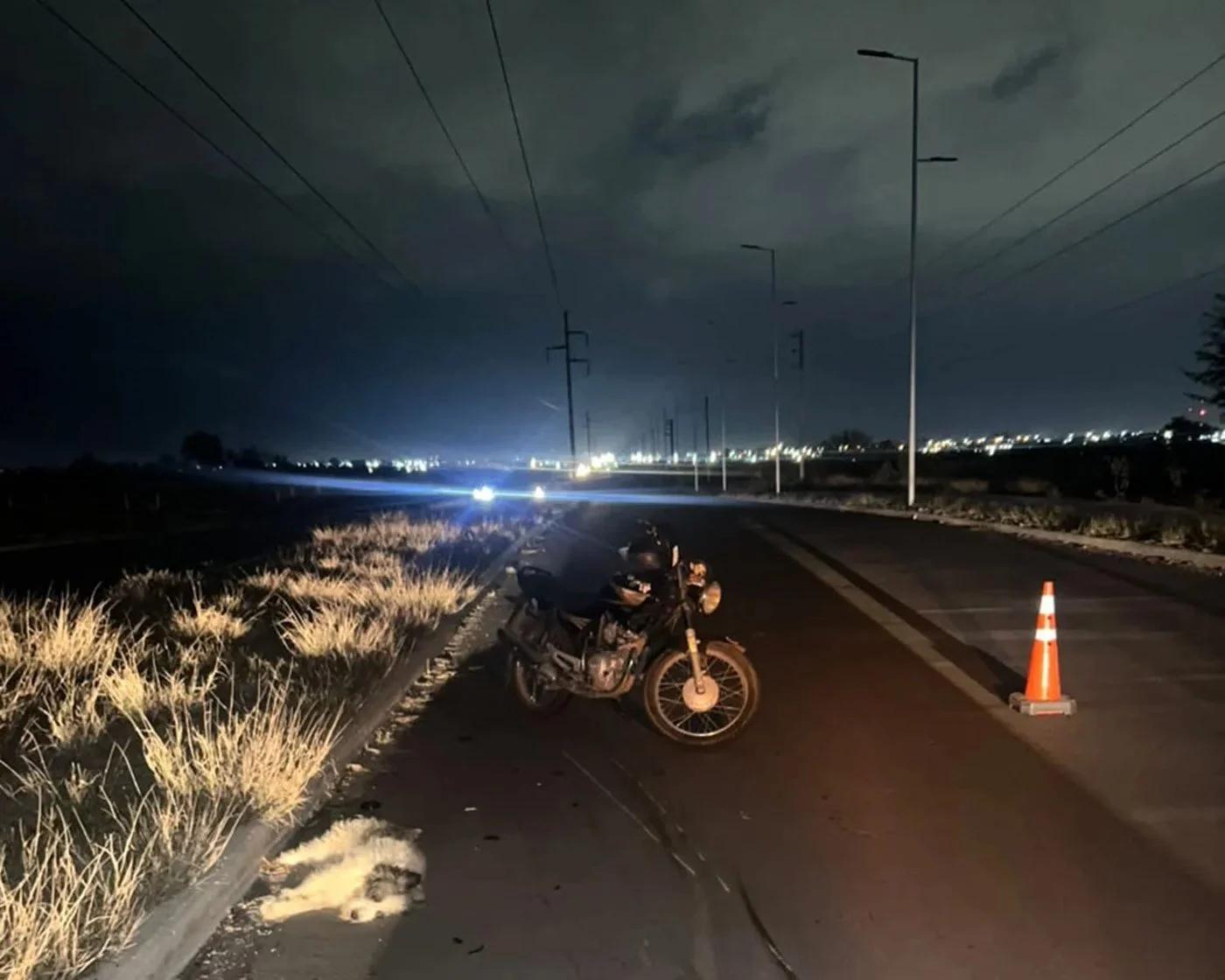 Motociclista herida tras colisión con un animal en la capital