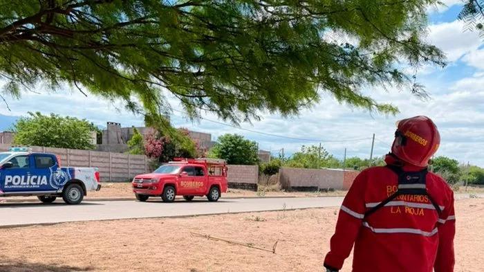 Rescataron dos serpientes de un árbol en la capital riojana