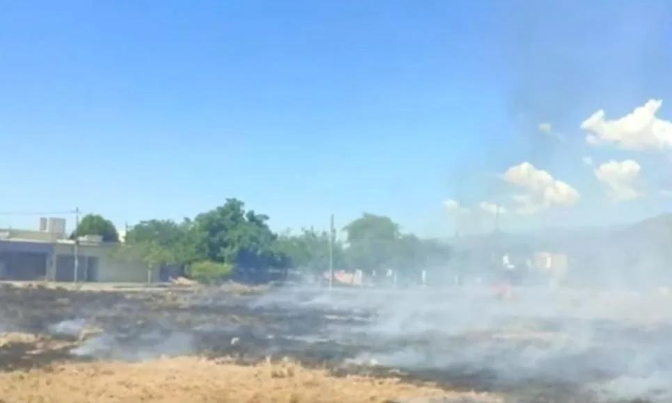 Incendio de pastizales puso en peligro a dos caballos en el barrio Emeli Bestani