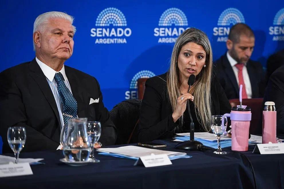 Tensión en el Senado por la conducción de la Comisión de Acuerdos