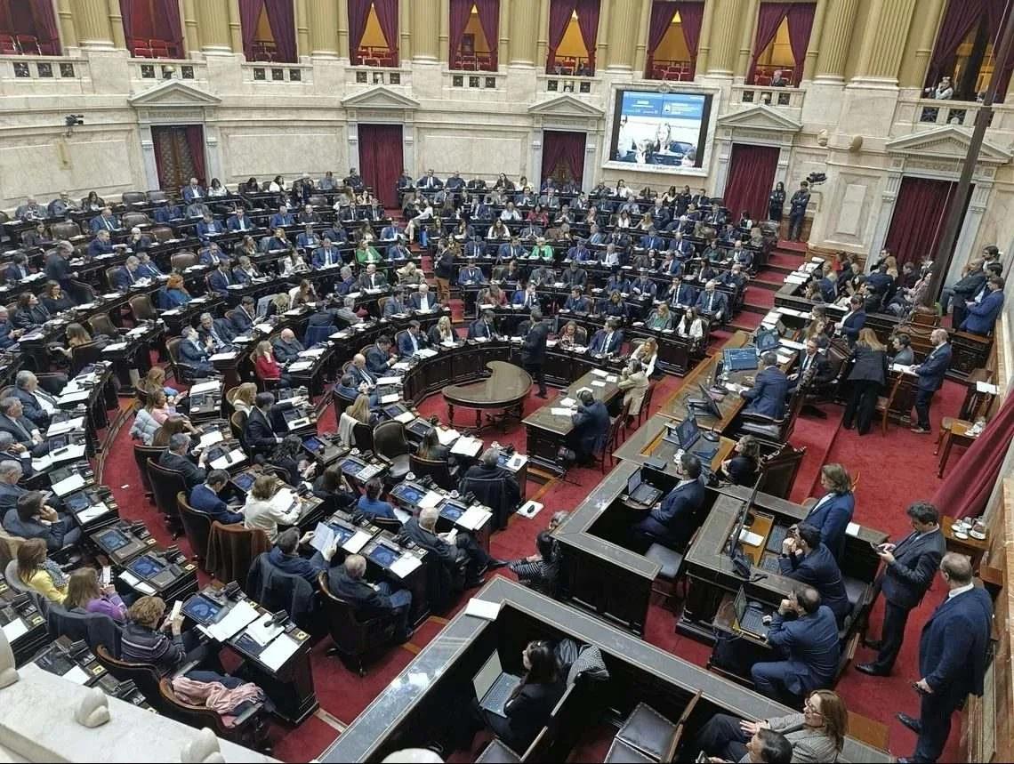 Diputados dio media sanción a la nueva ley de Discapacidad