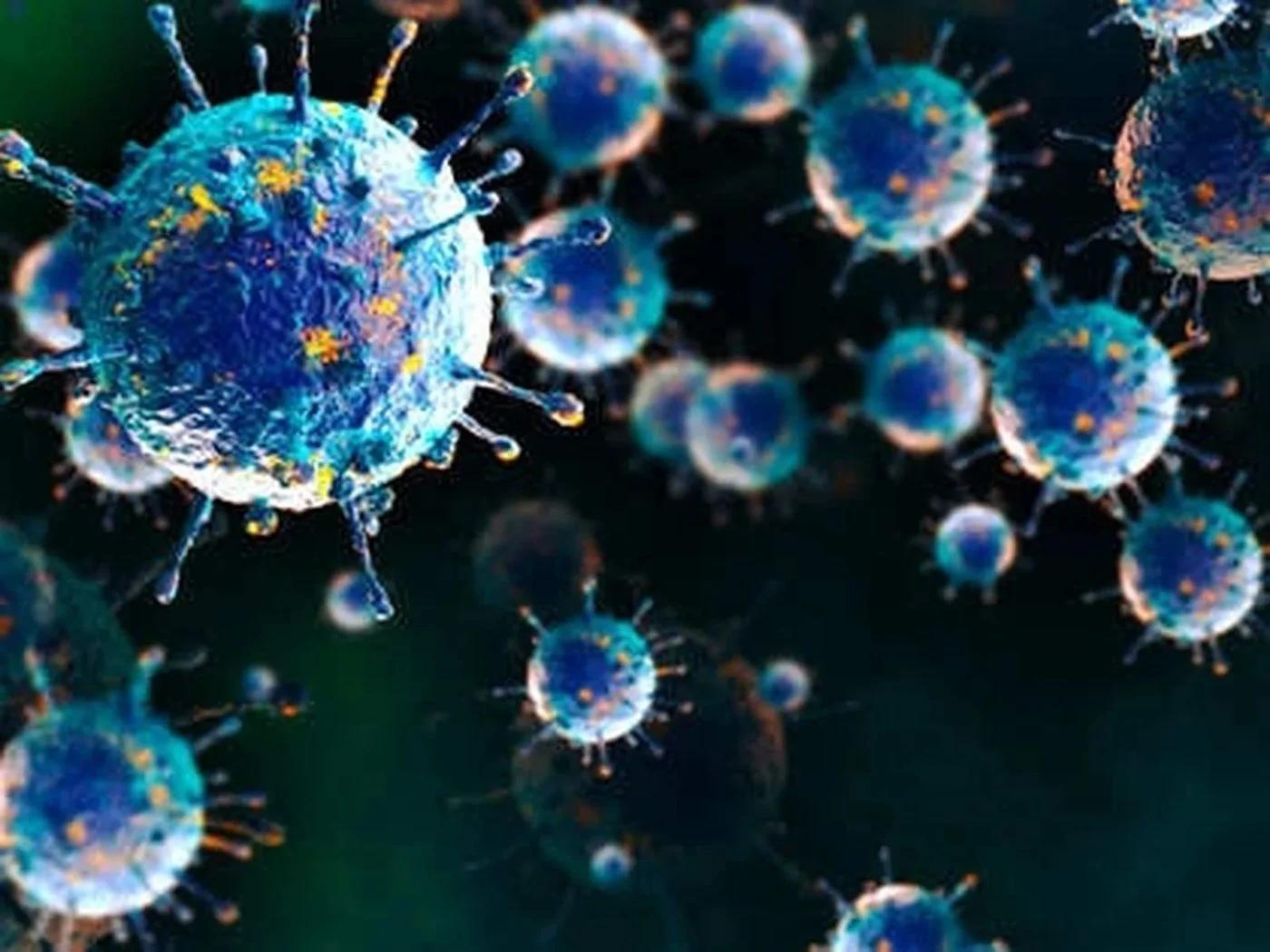 Confirman la primera muerte humana por el virus Shamonda en Francia