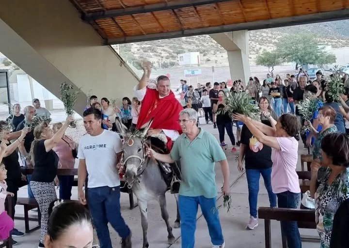 Detenido por la muerte del burro Manincho tras hallazgo de restos