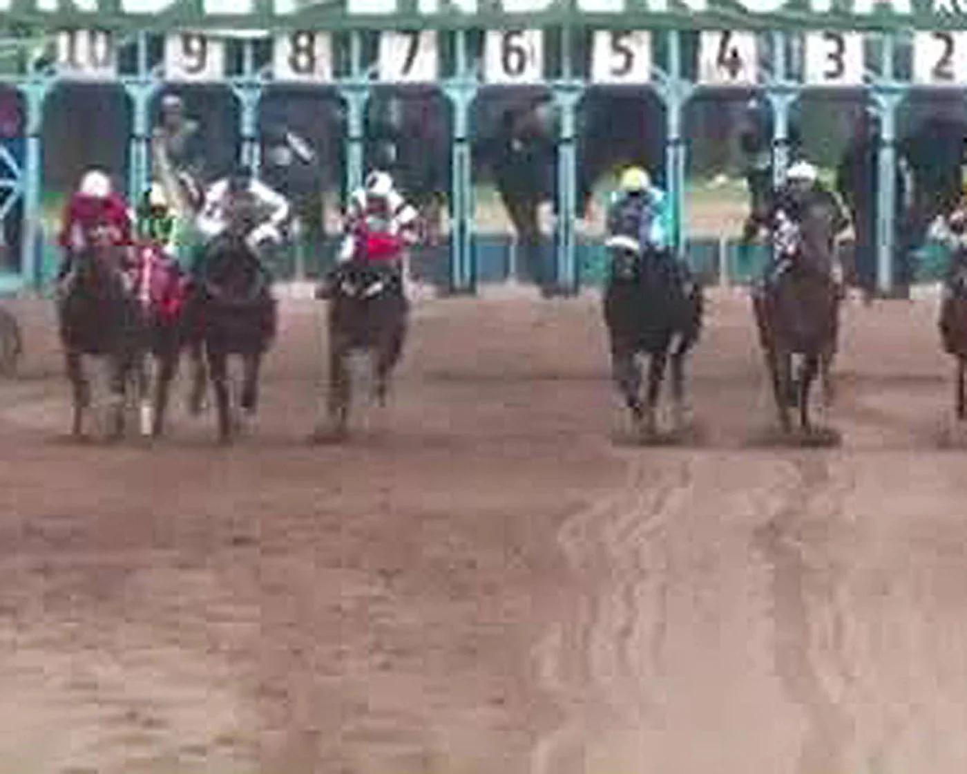Murió un caballo tras sufrir graves lesiones en una carrera en Aimogasta